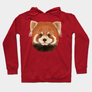 Red panda Hoodie